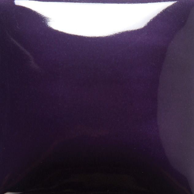 FN017 PURPLE