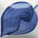 EZ023 MIDNIGHT BLUE