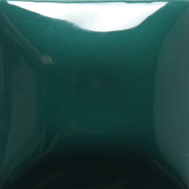 FN033 MEDITERRANEAN TEAL