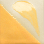 CN031 BUTTERNUT