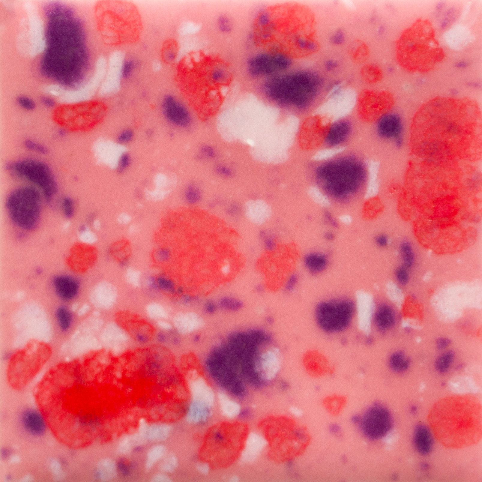 CG1004 BERRY TART