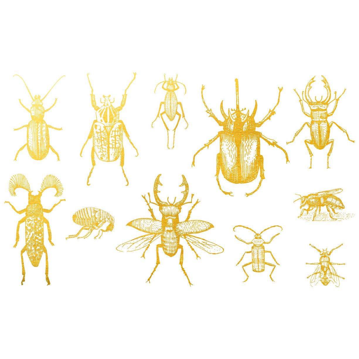 Insekten 01 Gold
