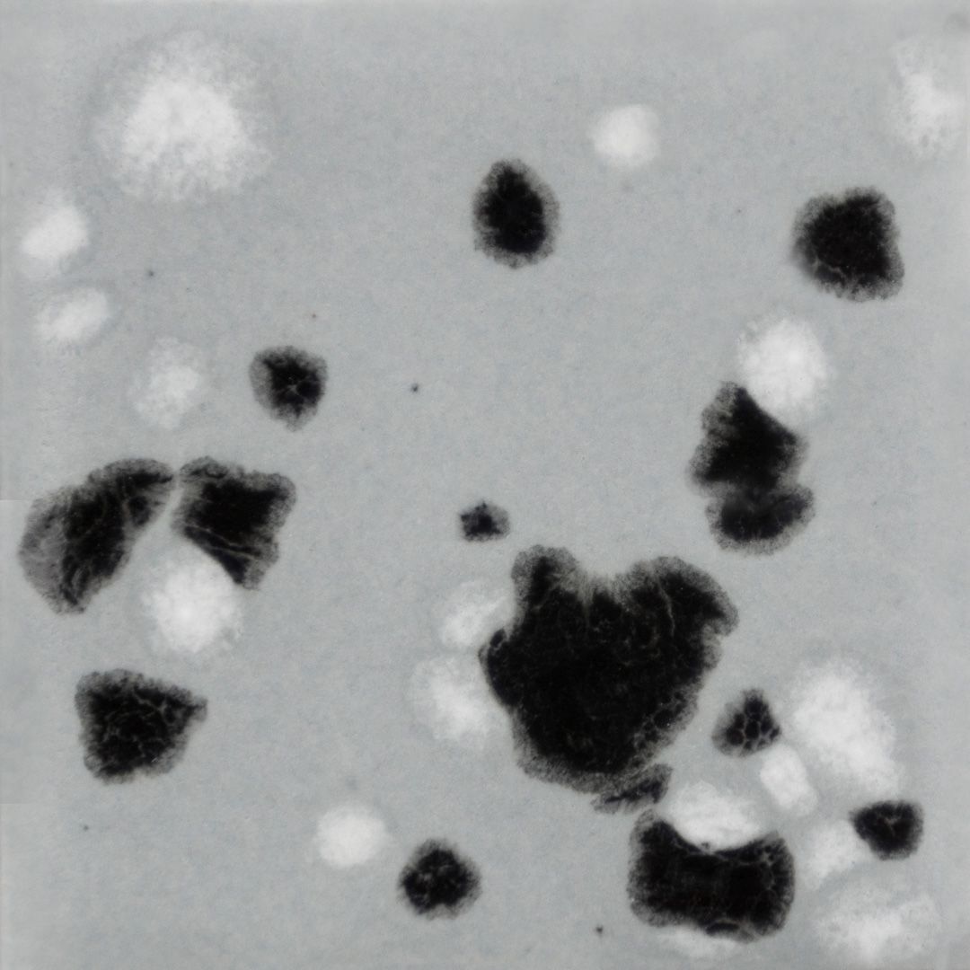 CG1016 ASTEROID