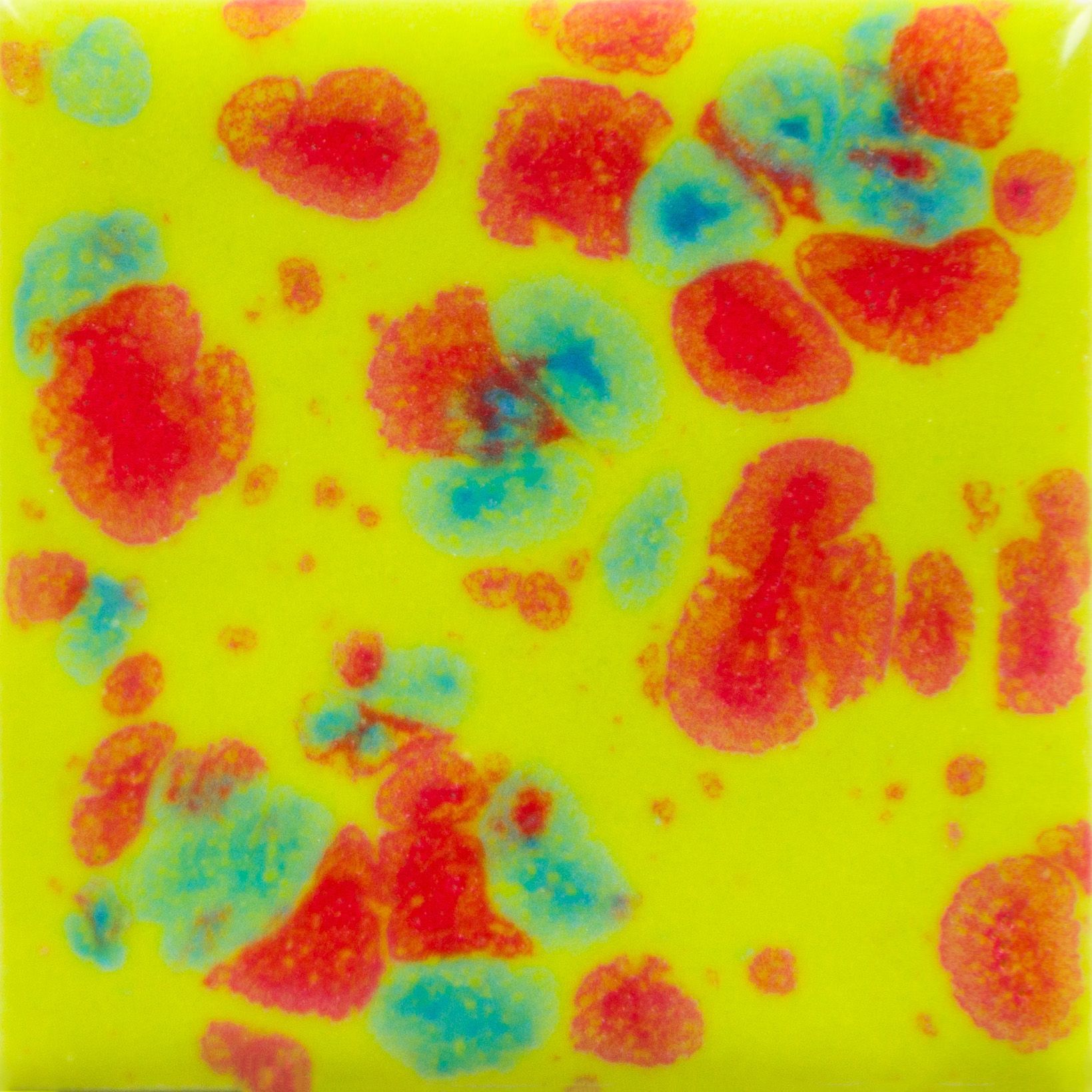 CG1009 CHERRY LIMEADE