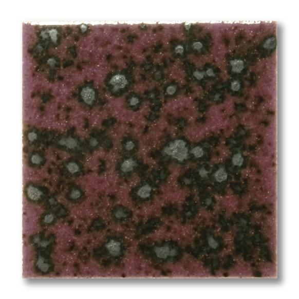 FE5206 Tiffany Clematis