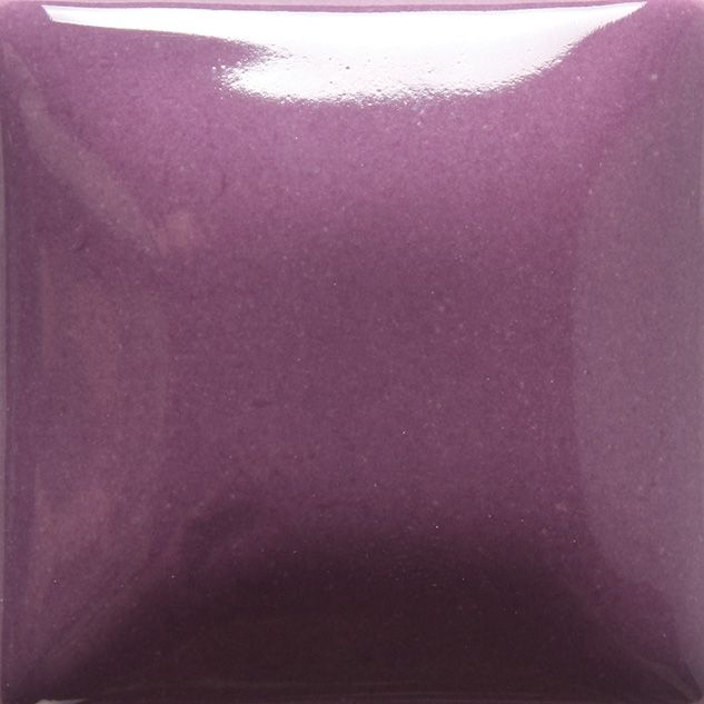 FN036 GRAPE