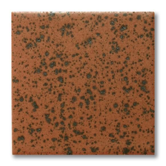 FE4059 Tigerauge