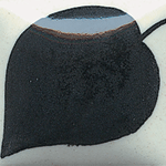 EZ012 COBALT JET BLACK