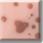 CR065-140 ml TERRACOTTA