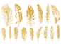 Preview: Gold Feather 01 Decal