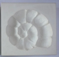 Preview: SOAMRE - Ammonite right Sprig Mold