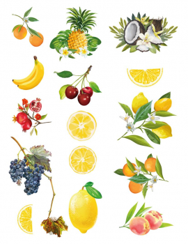 Früchte Dekorbild