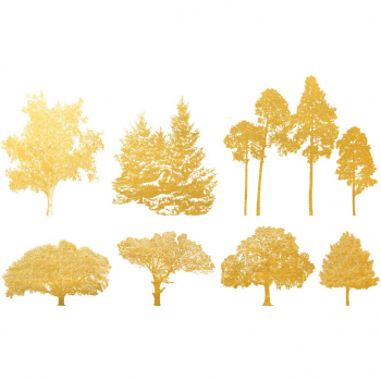 Gold Bäume Dekorbild
