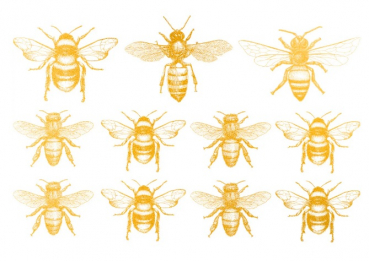 Gold Bienen Dekorbild
