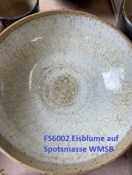 FS6002-500ml