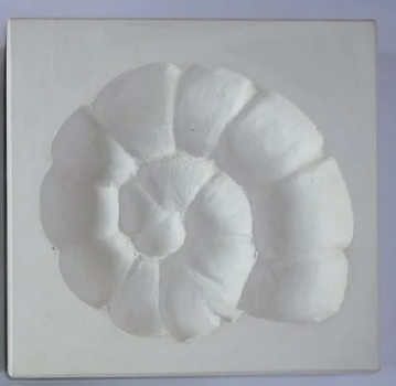 SOAMRE Ammonit Eindrückform rechts