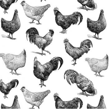 Hühner Dekorbild
