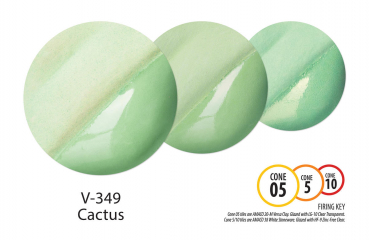 V349 Cactus 59 ml