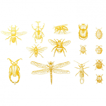 Gold Insekten 02 Dekorbild