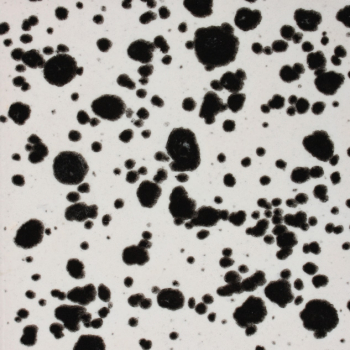 CG977-16 Ink Spots
