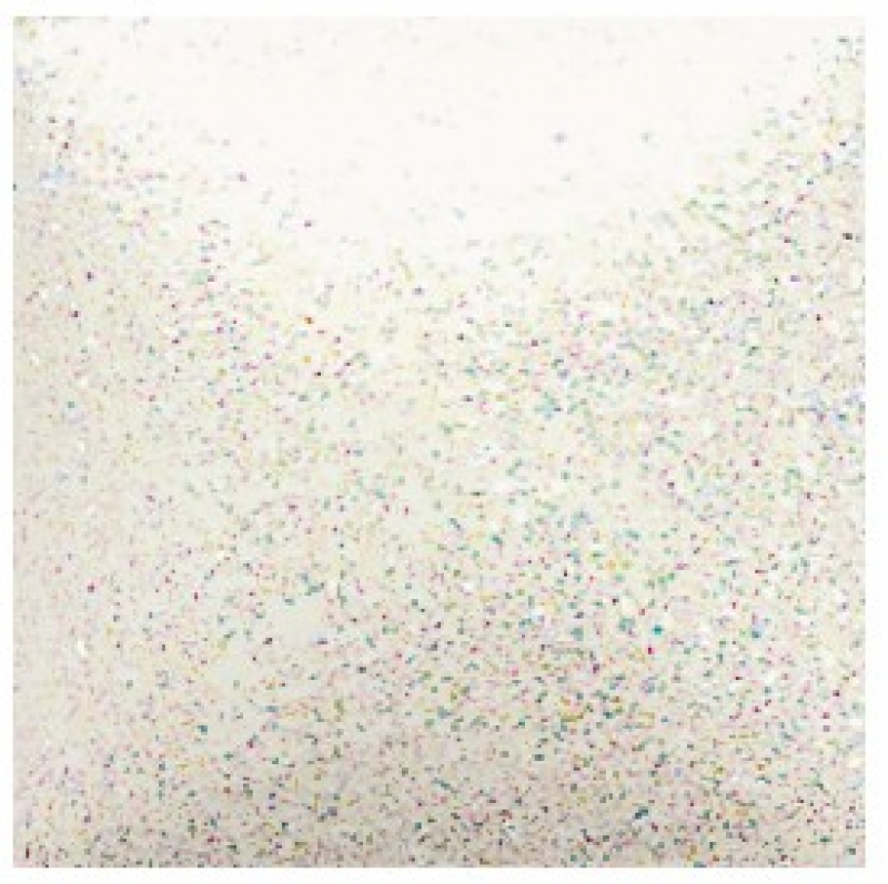 SG880 Glitter Transparent