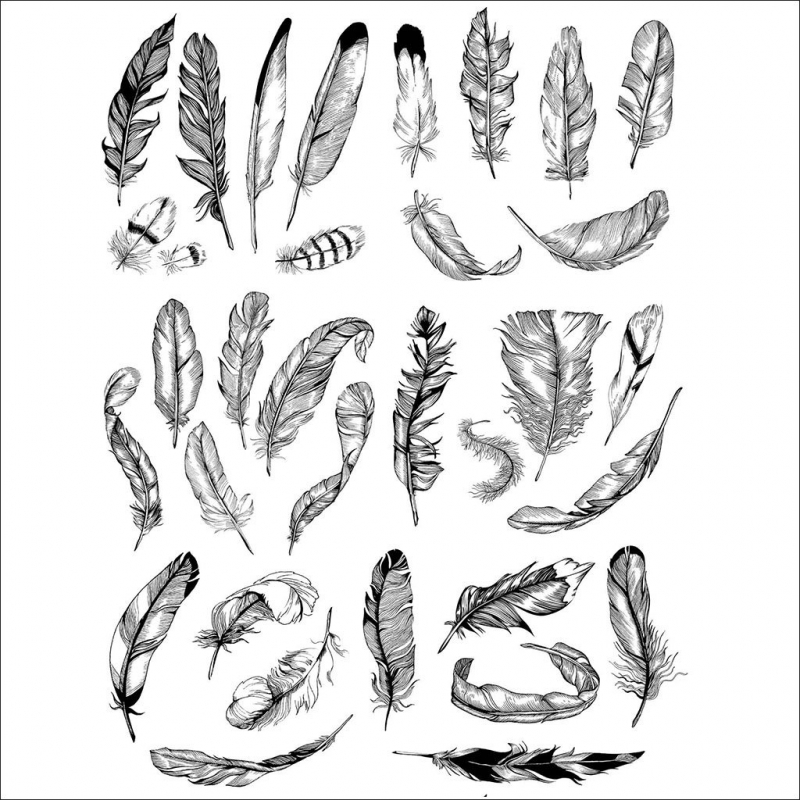 Feather Decal