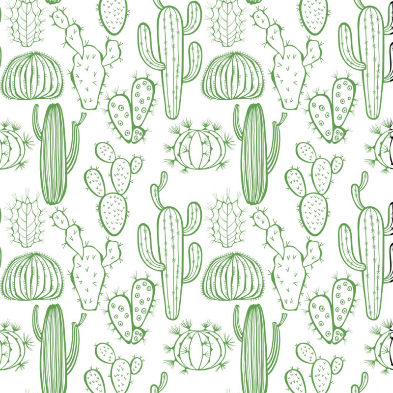 Cactus Decal