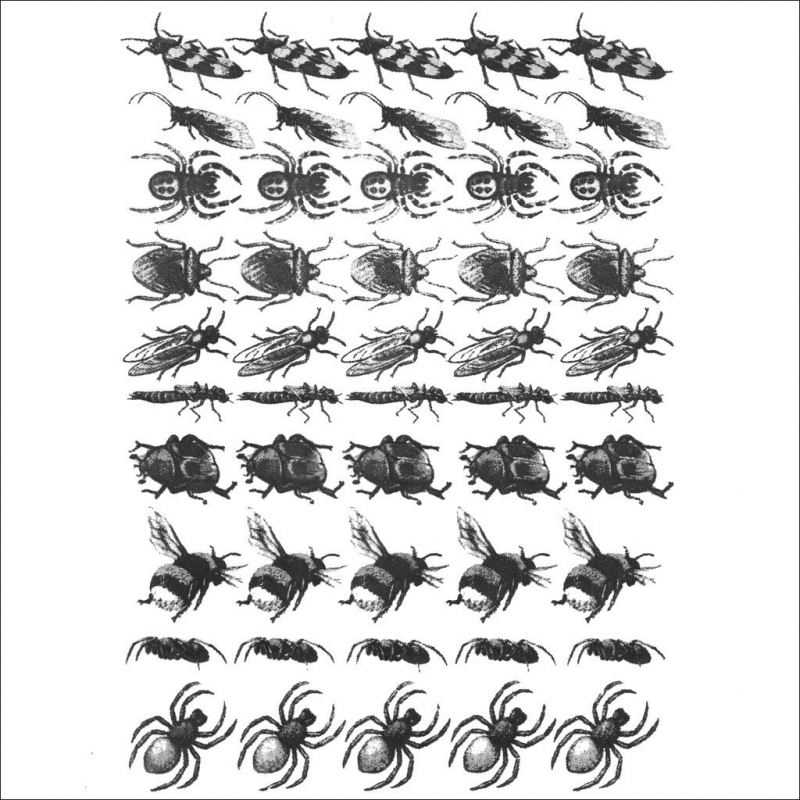 Insects 2 Decal