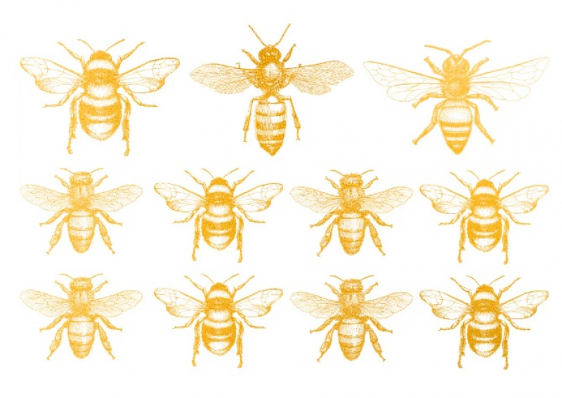 Gold Bees Decal