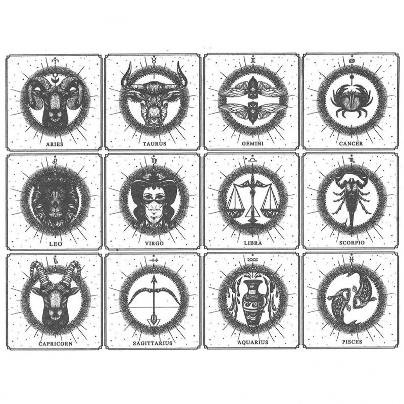 Zodiac Decal