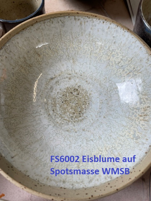 FS6002-500ml