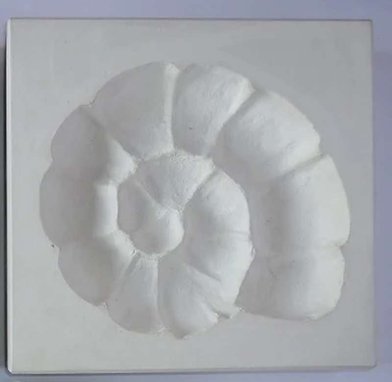 SOAMRE - Ammonite right Sprig Mold